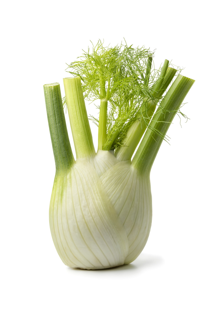 Fenchel