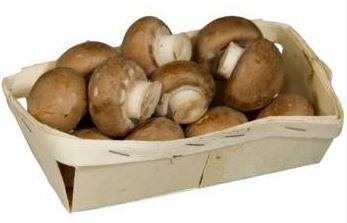 Champignons, braun