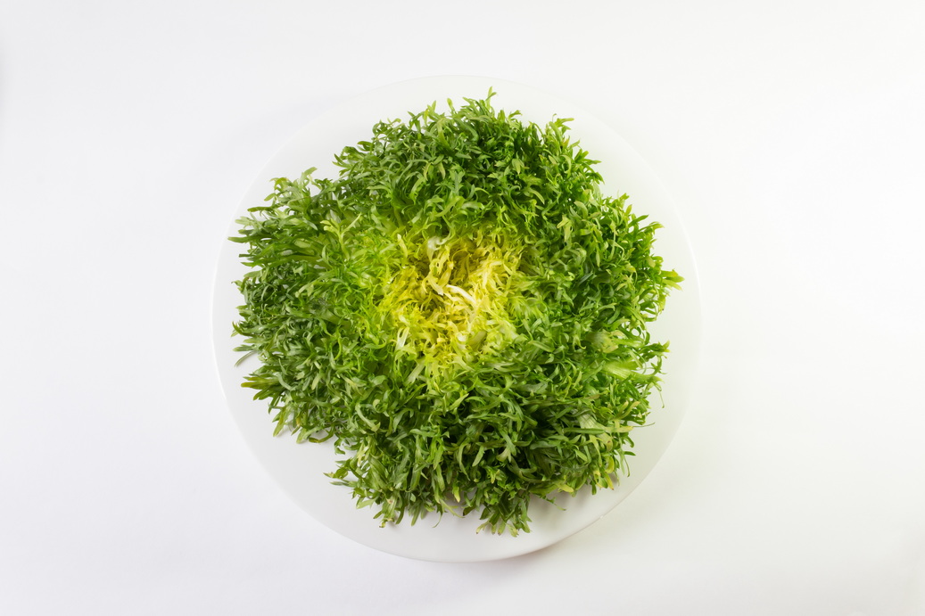 Endiviensalat