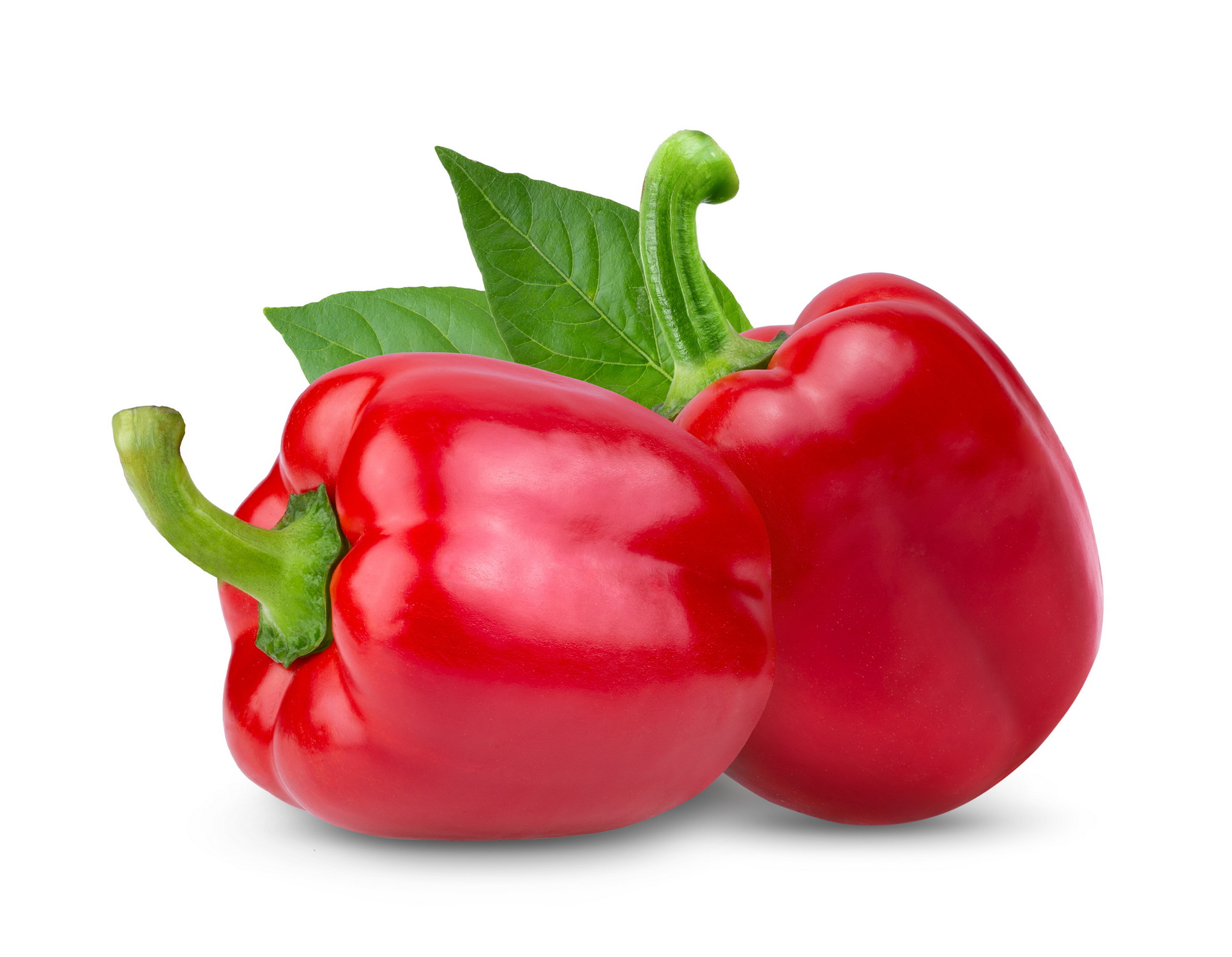 Paprika rot