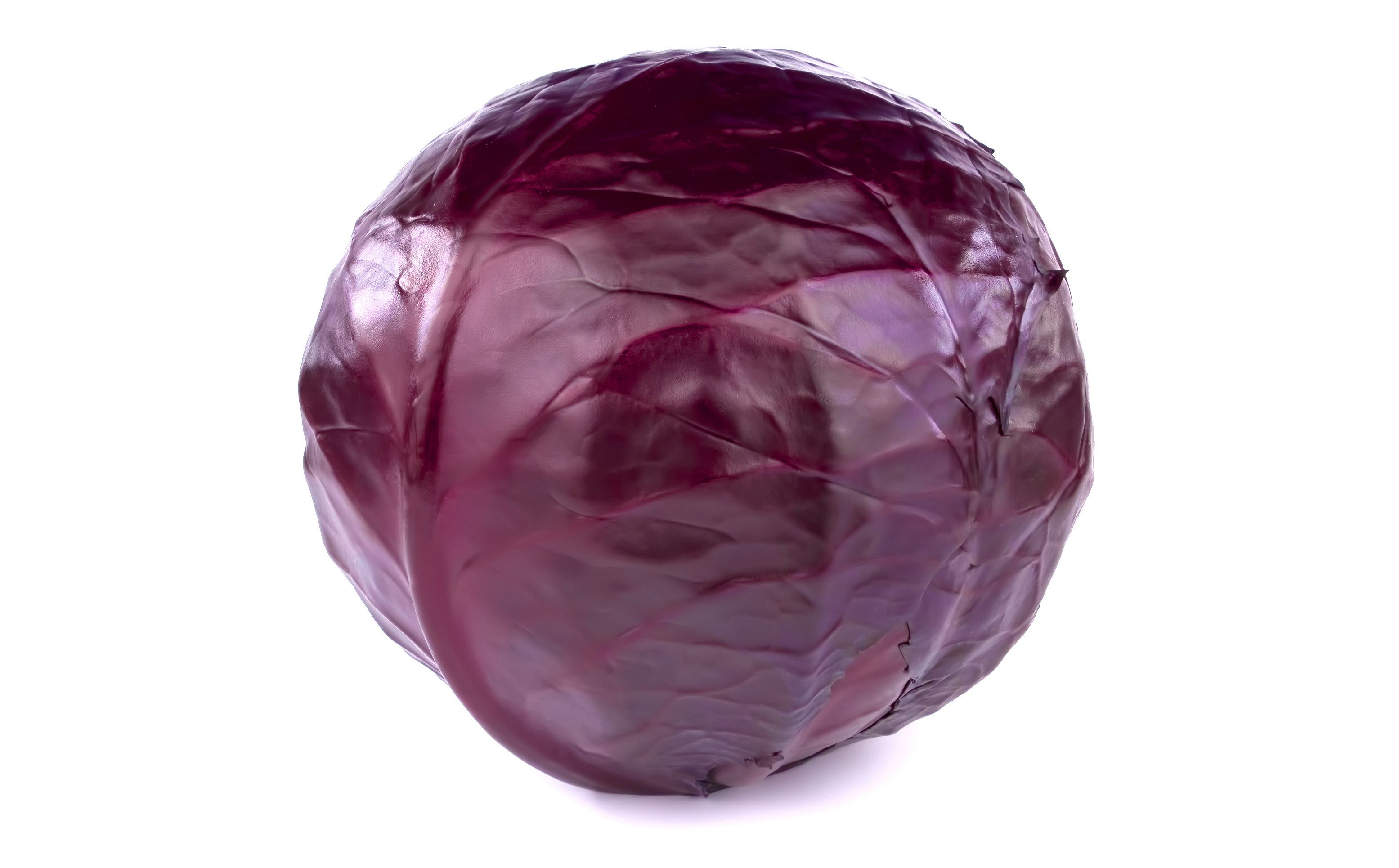Blaukraut