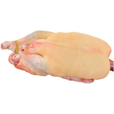 Ente, ganz, tiefgekühlt